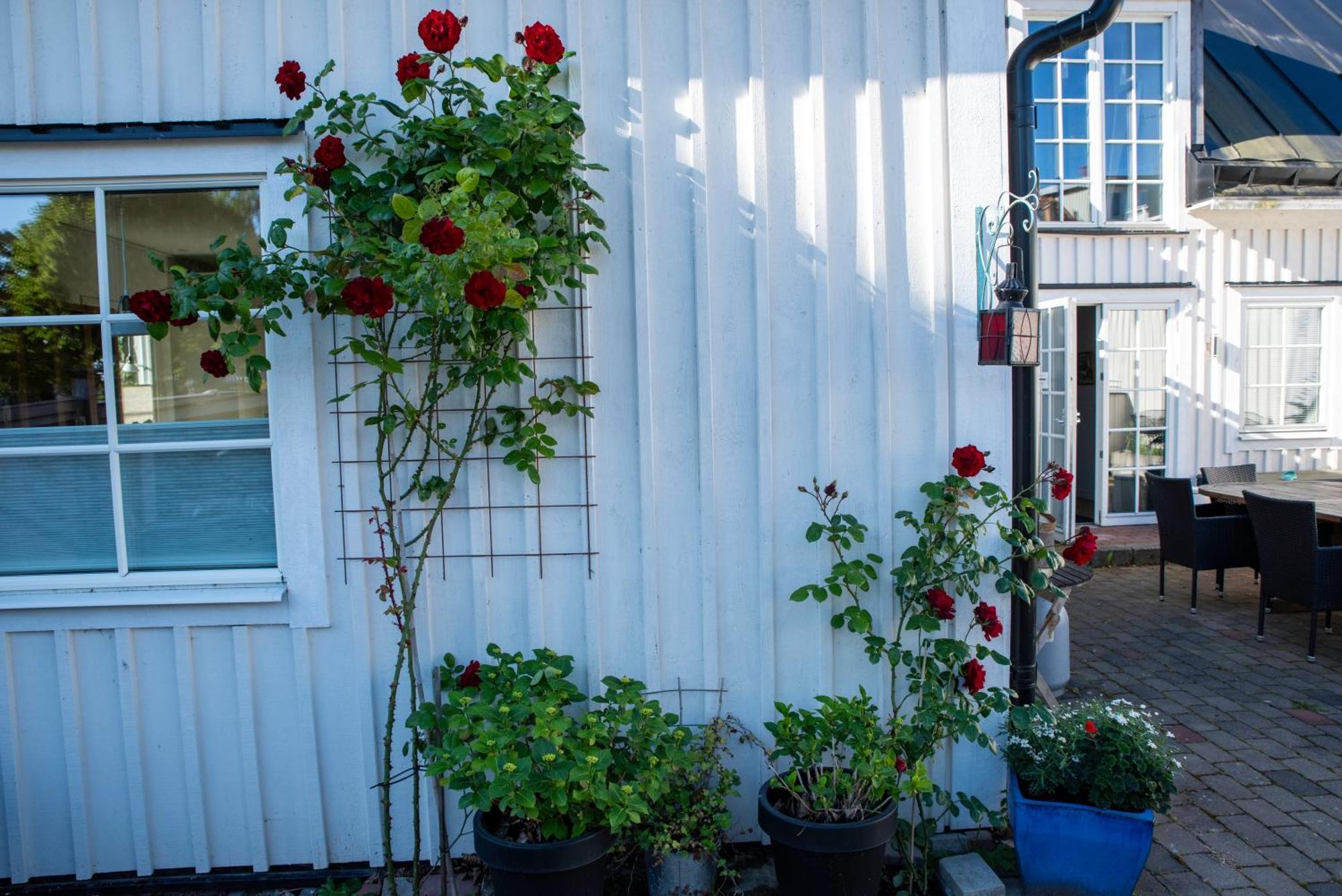 Guest House Tullgatan 24 Borgholm Dış mekan fotoğraf